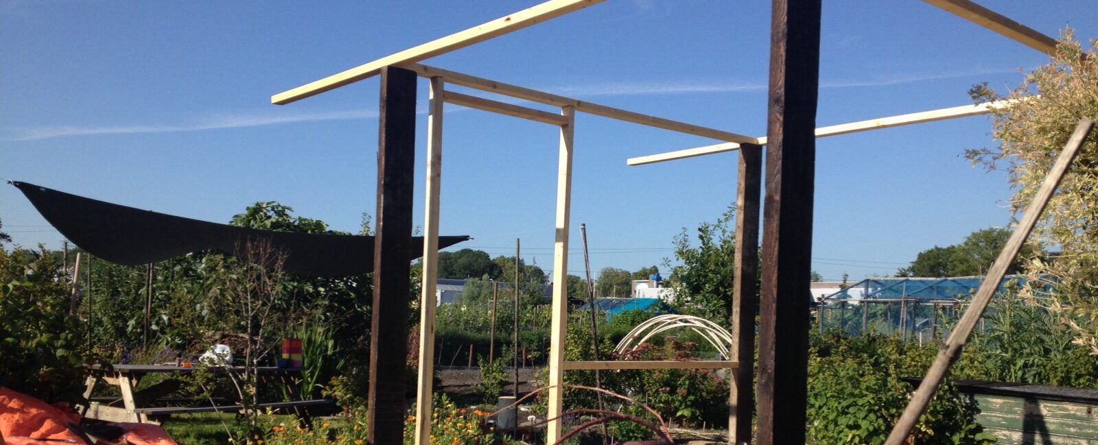 Masha’s Hart van Hout